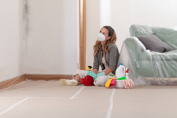 Reliable Basement Mold Remediation contractor in Sea Cliff, NY by WQB Mold Removal